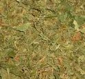 KRATOM LEAF